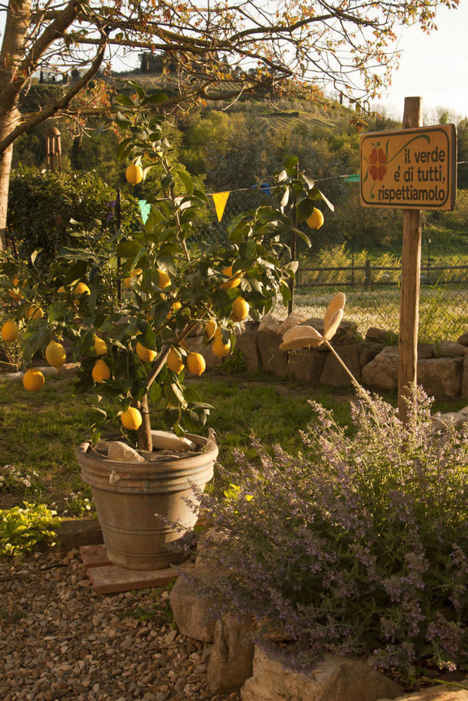 B&B Eridu Bed & Breakfast